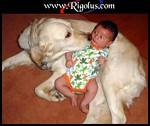 une chienne