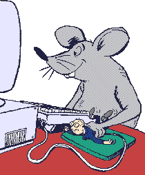 souris