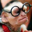 singe