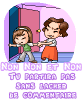 les commentaires