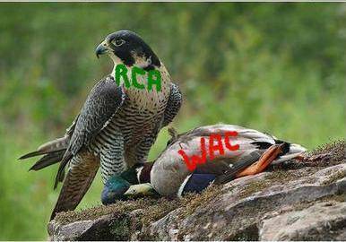 wac